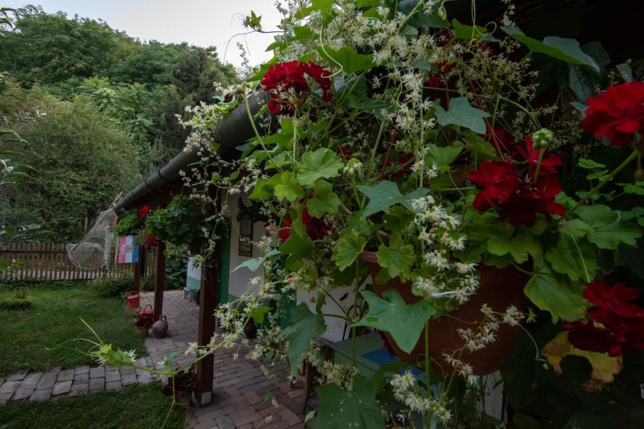 Ribarska Kuca - Ilok ,Tradicijska Kuca-Sobe Lägenhet Exteriör bild
