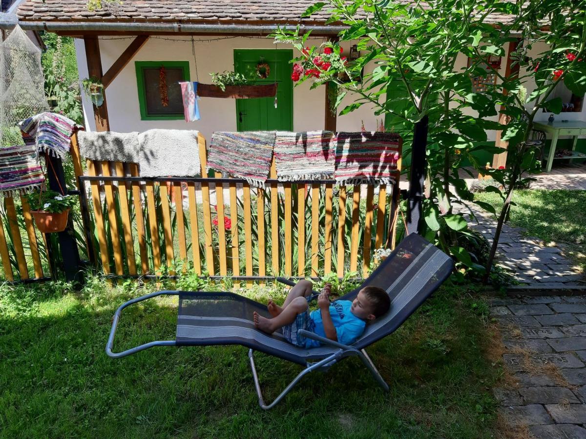 Ribarska Kuca - Ilok ,Tradicijska Kuca-Sobe Lägenhet Exteriör bild
