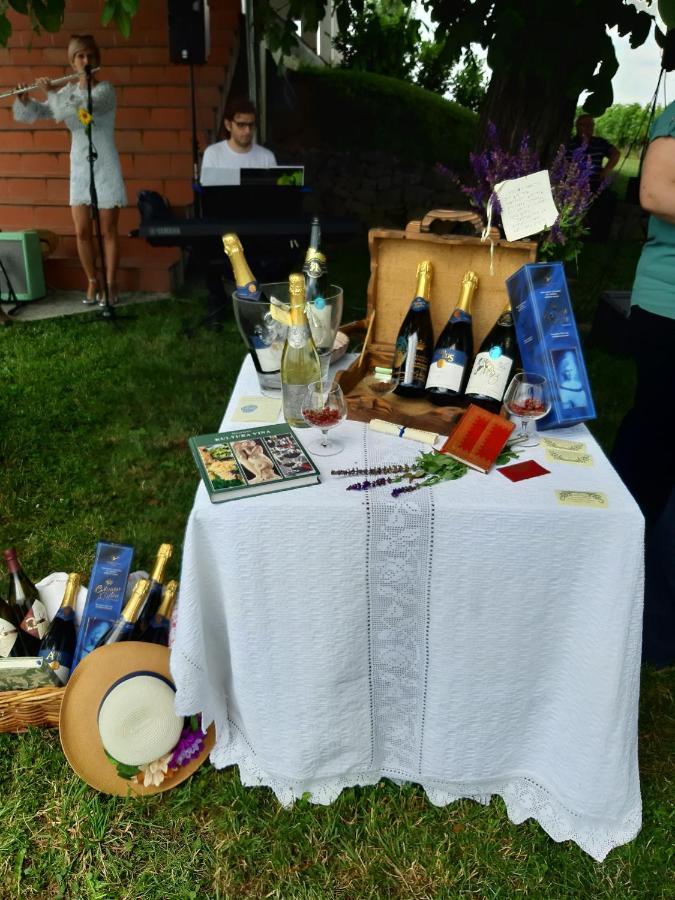 Ribarska Kuca - Ilok ,Tradicijska Kuca-Sobe Lägenhet Exteriör bild